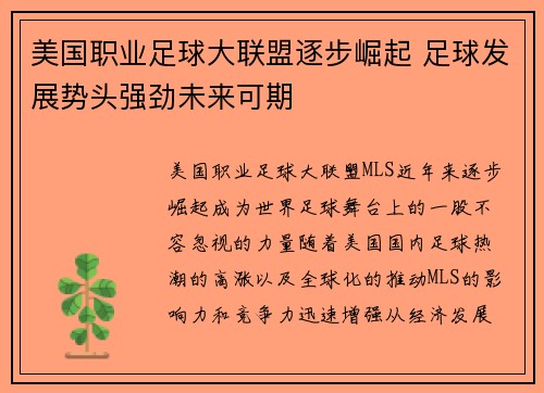 美国职业足球大联盟逐步崛起 足球发展势头强劲未来可期